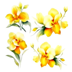 Fototapeta premium Set of yellow orchid floral watecolor. flowers and leaves. Floral poster, invitation floral. Vector arrangements for greeting card or invitation design 