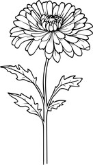 flower minimal style 