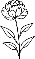 flower minimal style 