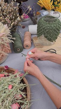 Frau bindet Trockenblumen zu einem Kranz, getrocknete Blumen, vertical Video
