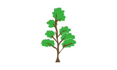 Pine tree illustration vector design