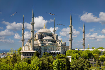 Fototapeta na wymiar View of Sultanahmet Mosque or Blue Mosque on a sunny summer day. Istanbul, Turkey