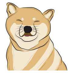 shiba inu dog