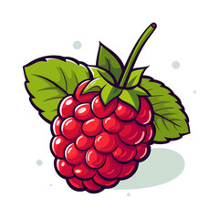Raspberries image. Cute image of an isolated raspberries. Vector illustration.