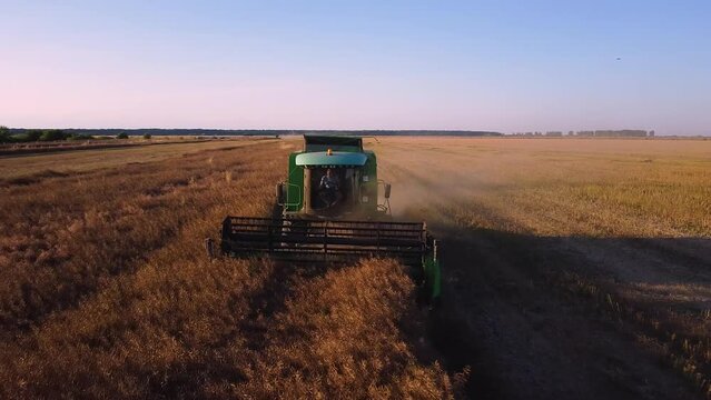 4k Aerial drone footage of a Combine Harvester harvesting wheat at sunset. Agricultural machine collecting wheat at sunset in summer.