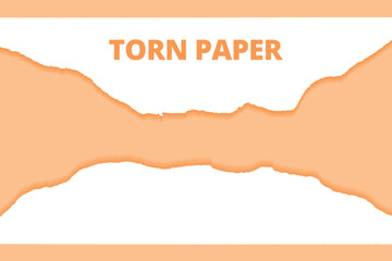 Two long piece of torn papers cream color new background