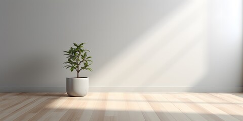 Fototapeta na wymiar Light gray wall and and a wooden floor with a potted plant with interesting light glare. Empty background interior for the presentation