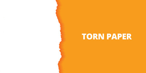 Torn paper Orange Peel and white color background post, banner, design