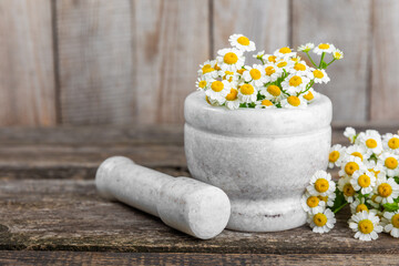 Chamomile flowers in mortar on a textured wooden table. Healing herbs. Alternative medicine. Healing. Homeopathy.Natural herbal organic cosmetics concept.Natural tea.Place for text. Copy space. 