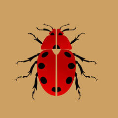 Ladybug icon vector illustration in red with black spots on a black background