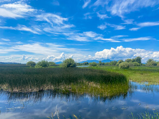 Scenic view of the Wood River wetland in Klamath Falls, Oregon with wispy clouds.