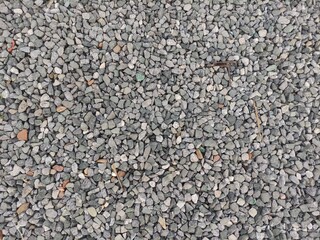 Large gray pebbles for background.