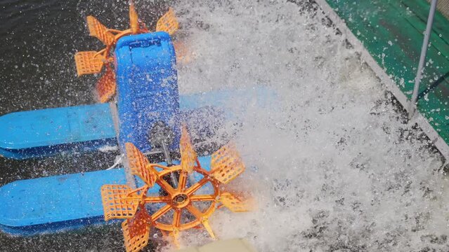 An oxygenator working in a fish pond