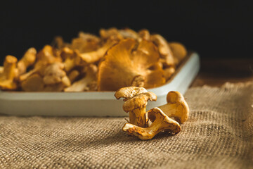 Close-up of chanterelle mushrooms. Autumn mushrooms. Ingredients for making mushroom soup.