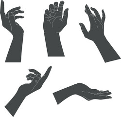 Set of human hands with different graceful gestures. Hand silhouettes isolated on white background. Vector illustration