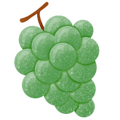 A bunch of green grapes 