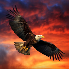 Obraz premium AI generated illustration of a majestic bald eagle soaring through the air illuminated by sunshine