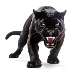 Fototapeten black panther with open mouth and visible fangs on isolated background © FP Creative Stock