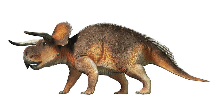 Nasutoceratops Imagens – Procure 41 fotos, vetores e vídeos