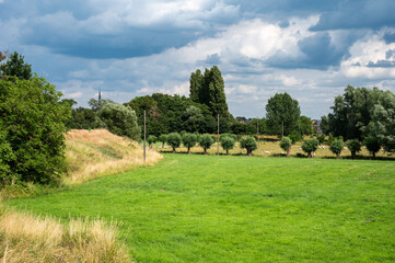 Green meadows, golden grass and trees against rainy clouds at the Flemish countryside around Schelle, Belgium