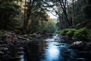 a river running through a forest with trees and rocks