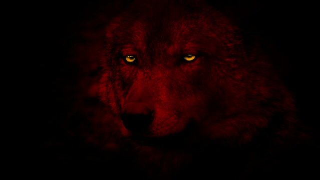 Wolf Red With Glowing Eyes Side View