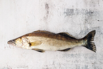 Whole unpeeled fresh zander or pike perch fish on grunge stone table background. Raw walleye...