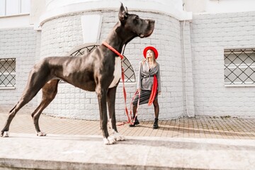 A photo of a woman and her Great Dane walking through a town, taking in the sights and sounds of...