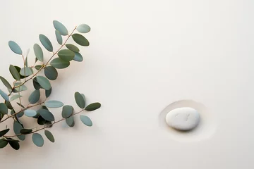 Printed kitchen splashbacks Stones in the sand Serenity- Eucalyptus Branch and a Pebble Rock on Sand for Background Template with Empty Space for Copy or Product