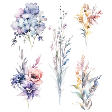 Romantic Watercolor Fairy Florals: Soft Hues on Transparent Background for Dreamy Creations	
