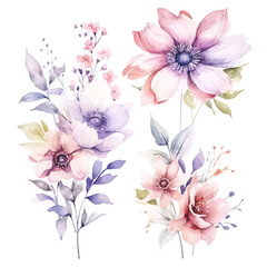Fototapeta na wymiar Romantic Watercolor Fairy Florals: Soft Hues on Transparent Background for Dreamy Creations 