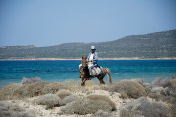 horse riding on the beach