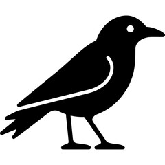 Black bird silhouette raven crow single icon glyph vector logo