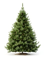 Familientraditionen: Der Tannenbaum als festliche Tradition