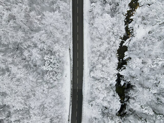 Aerial view in a snowy Alpine Valley with Soaring Pine Trees surrounded by mountains at winter time, Bavaria, alps Germany