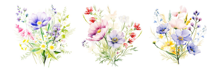 Set wild flowers watercolor bouquet, botanical illustration isolated on white background