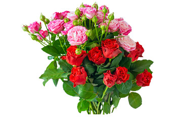 Bouquet of red and pink roses.Isolate on white. available PNG