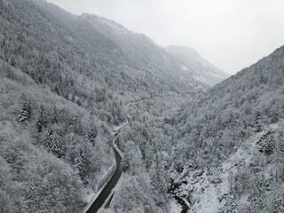 Aerial view in a snowy Alpine Valley with Soaring Pine Trees surrounded by mountains at winter time, Bavaria, alps Germany