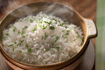 Plato de arroz blanco caliente con cebollín fresco en un tazón de barro