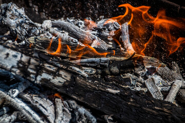 Fire in a bonfire with coals close-up