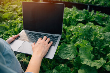 Asian woman farmer using digital tablet in vegetable garden at greenhouse, Business agriculture technology concept, quality smart farmer.