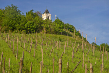 Fototapeta na wymiar View of Pyramid hill in Maribor. Slovenia