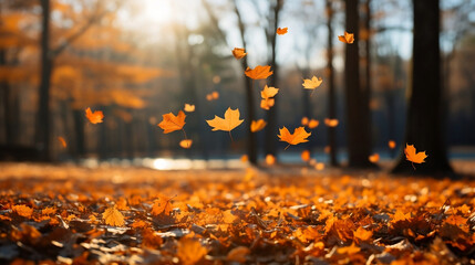 autumn leaves falling from the trees in the park, ground full of leaves, copy space, bokeh, blurry background, banner 