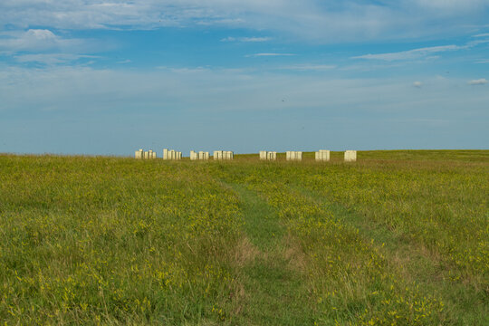 Beehive boxes in a field in South Dakota with bees flying around