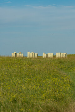 Beehive boxes in a field in South Dakota with bees flying around