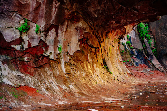 Curved colorful sandstone canyon walls along the West Fork Trail of Oak Creek Canyon, near Sedona, AZ