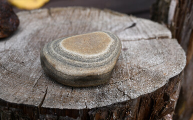 Composition of rocks on tree stump in the garden