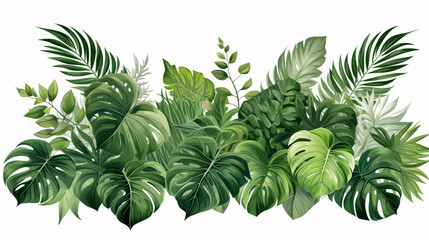 Tropic leaves foliage flora, jungle shrub, and floral setup, nature backdrop featuring Monstera and tropical palm plants. Isolated on a white background