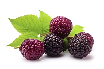 blackberry isolated on white background.