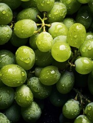 close up of green grapes